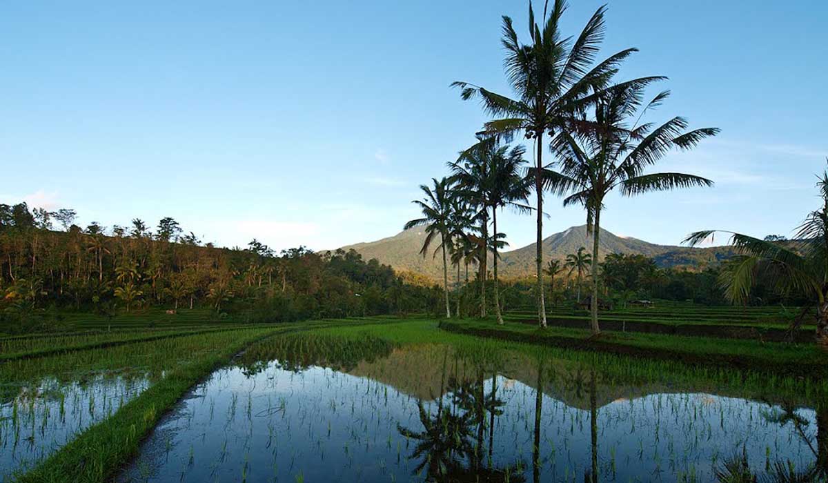 Another dormant strato-volcano situated in the Bedugul mountain
lake region, Gunung Sengayang is Bal
