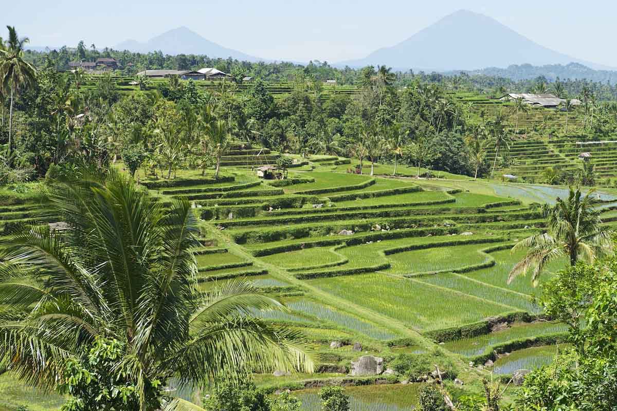 When returning from Gunung Batukaru take the hilly high road
from Wongaya Gede to the village of Jat