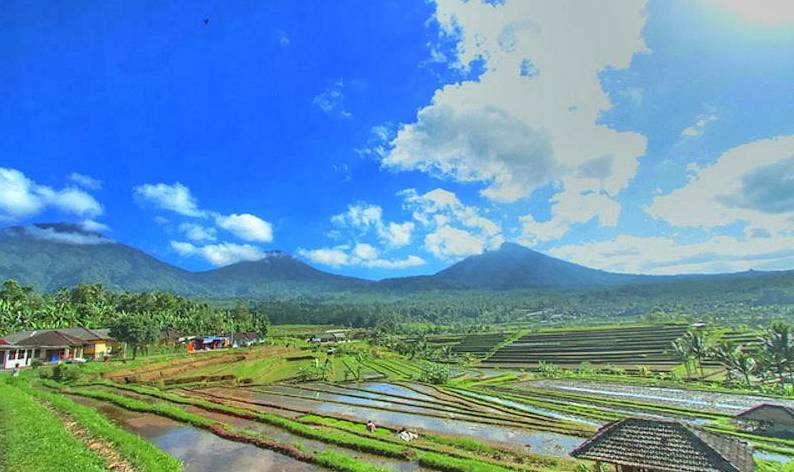 Also located in the Bedugul complex, near
Angsri, is Bali’s fifth tallest peak, the dormant st