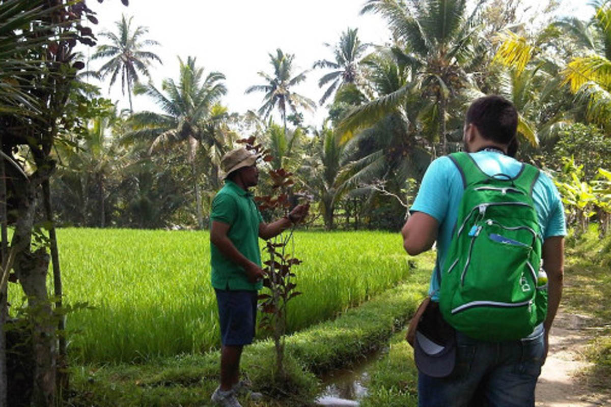 

For centuries the Balinese have used a wide
range of native plants and herbs for therapeutic, medi